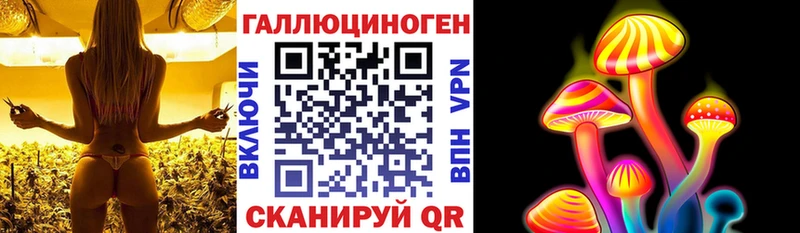Псилоцибиновые грибы Psilocybine cubensis маркетплейс как зайти Суджа наркошоп